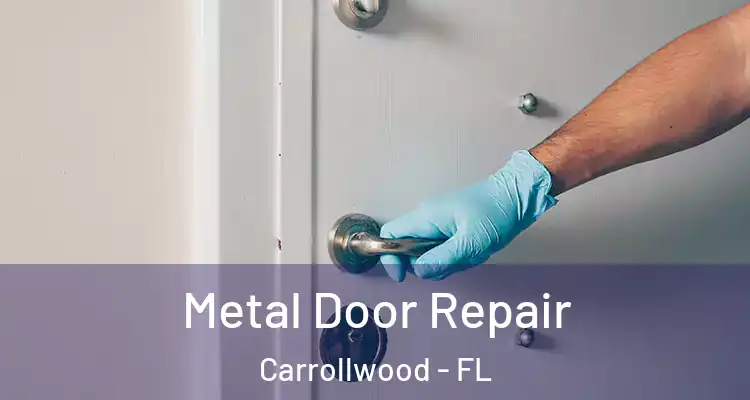 Metal Door Repair Carrollwood - FL