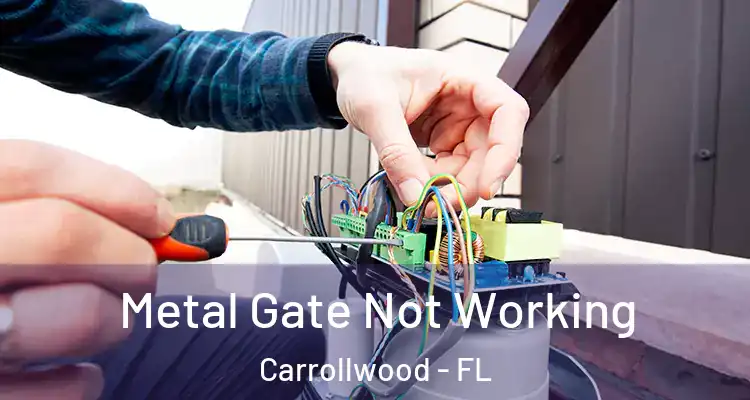  Metal Gate Not Working Carrollwood - FL