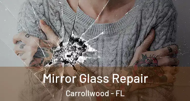 Mirror Glass Repair Carrollwood - FL