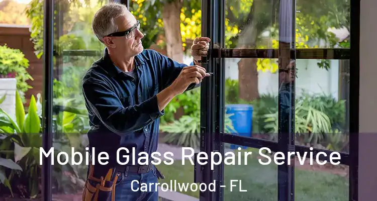  Mobile Glass Repair Service Carrollwood - FL