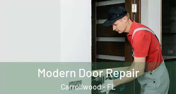  Modern Door Repair Carrollwood - FL