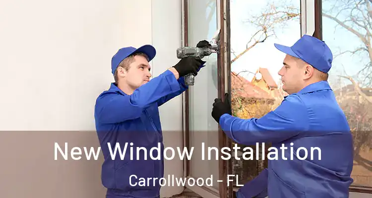  New Window Installation Carrollwood - FL
