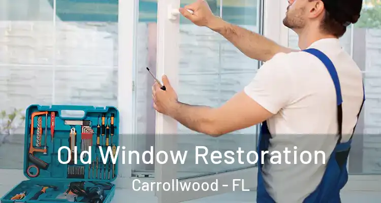  Old Window Restoration Carrollwood - FL