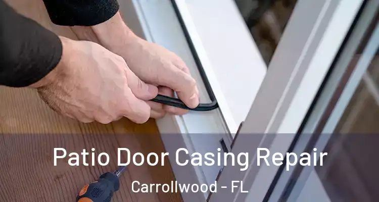  Patio Door Casing Repair Carrollwood - FL