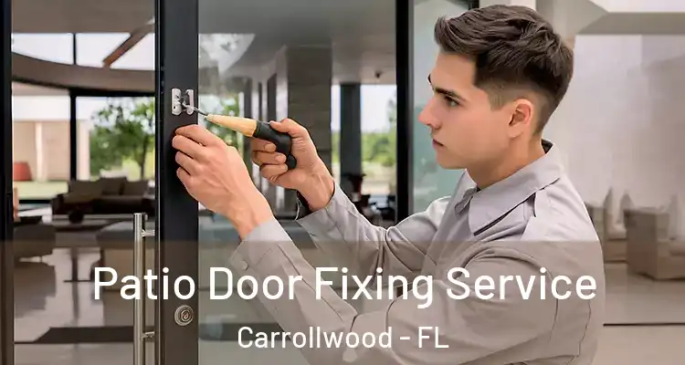  Patio Door Fixing Service Carrollwood - FL