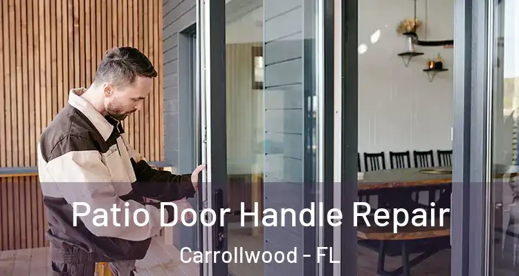  Patio Door Handle Repair Carrollwood - FL