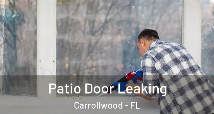  Patio Door Leaking Carrollwood - FL