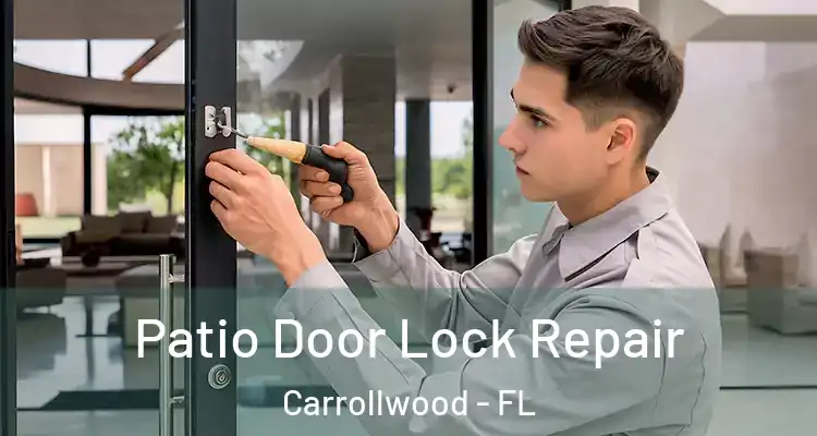  Patio Door Lock Repair Carrollwood - FL