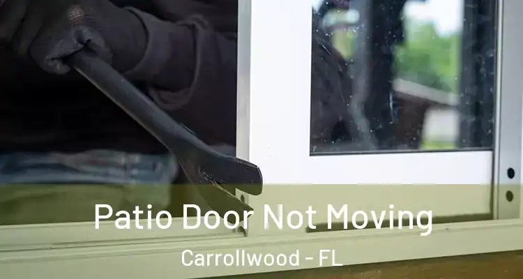  Patio Door Not Moving Carrollwood - FL