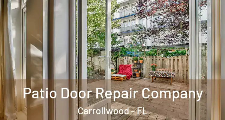  Patio Door Repair Company Carrollwood - FL
