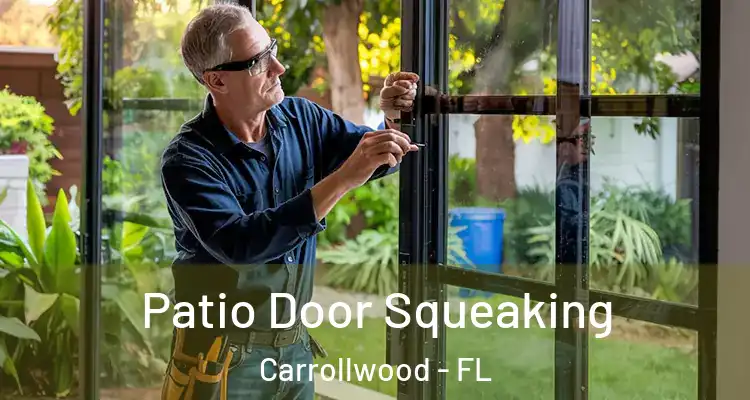  Patio Door Squeaking Carrollwood - FL