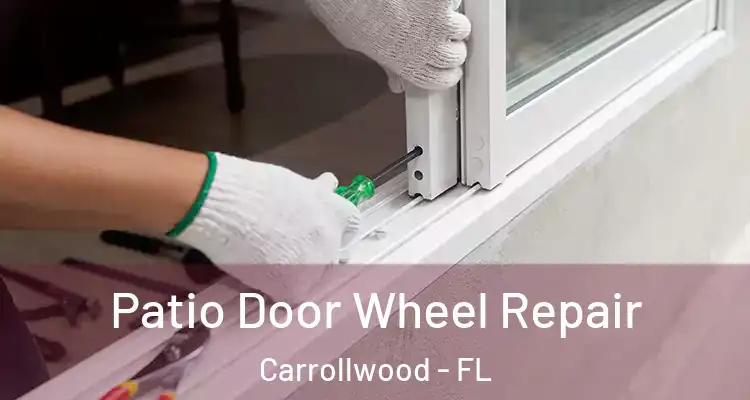  Patio Door Wheel Repair Carrollwood - FL