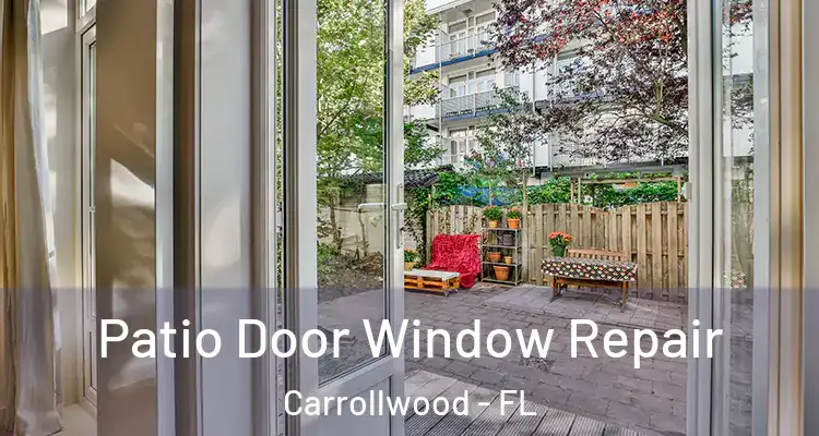  Patio Door Window Repair Carrollwood - FL
