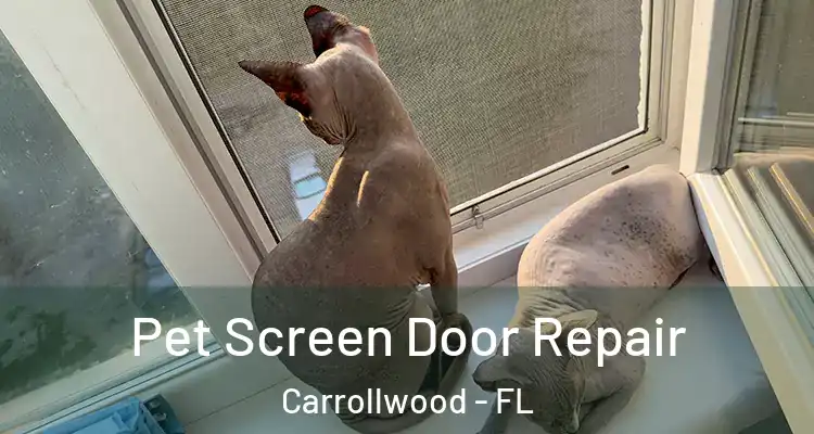  Pet Screen Door Repair Carrollwood - FL