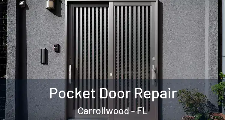  Pocket Door Repair Carrollwood - FL