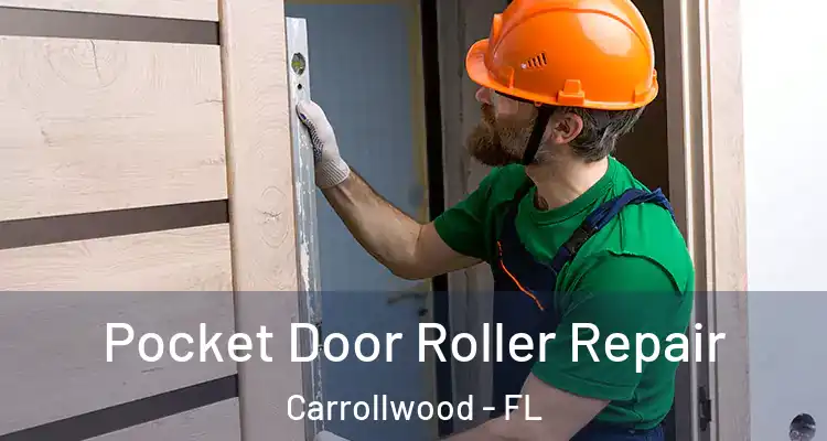  Pocket Door Roller Repair Carrollwood - FL