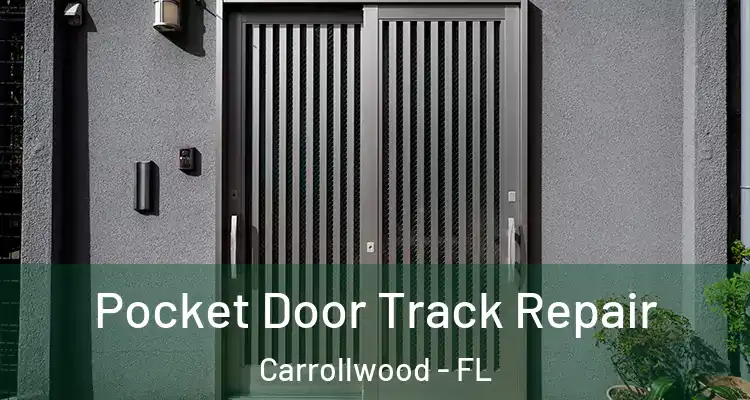  Pocket Door Track Repair Carrollwood - FL