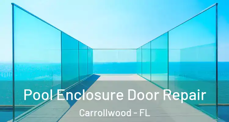  Pool Enclosure Door Repair Carrollwood - FL