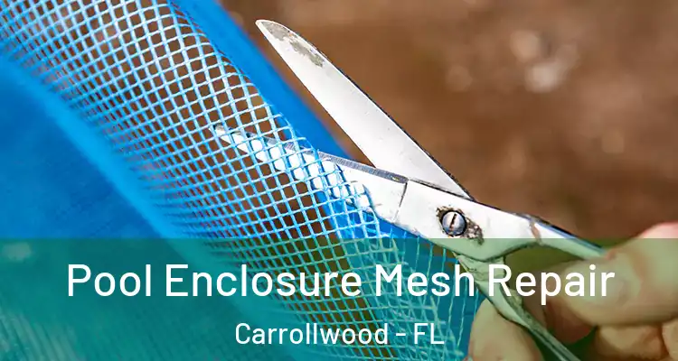  Pool Enclosure Mesh Repair Carrollwood - FL