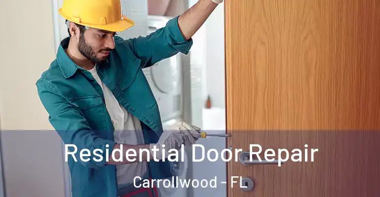  Residential Door Repair Carrollwood - FL