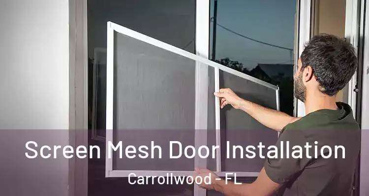  Screen Mesh Door Installation Carrollwood - FL