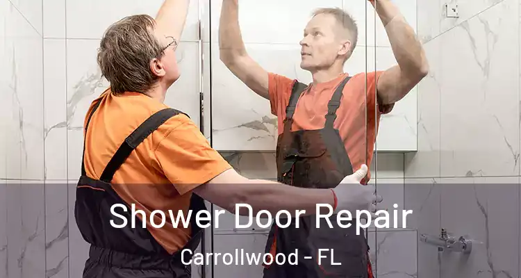  Shower Door Repair Carrollwood - FL