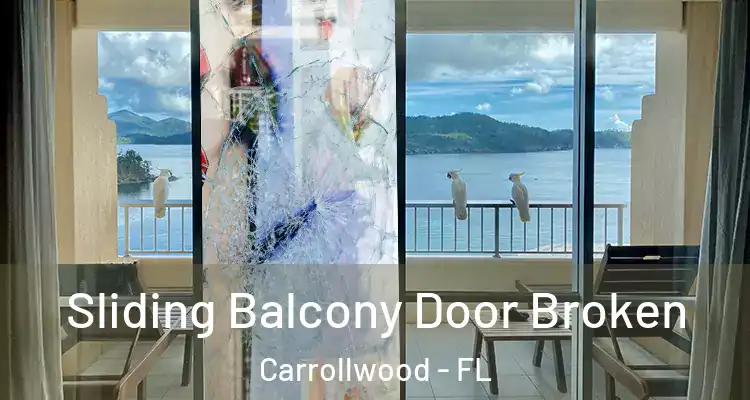  Sliding Balcony Door Broken Carrollwood - FL