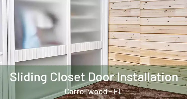  Sliding Closet Door Installation Carrollwood - FL