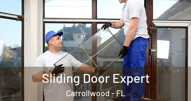  Sliding Door Expert Carrollwood - FL
