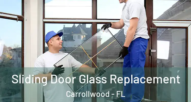  Sliding Door Glass Replacement Carrollwood - FL