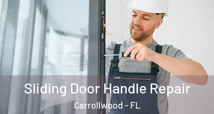  Sliding Door Handle Repair Carrollwood - FL