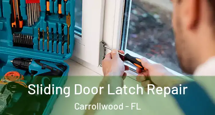  Sliding Door Latch Repair Carrollwood - FL