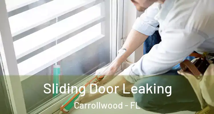 Sliding Door Leaking Carrollwood - FL