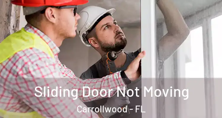  Sliding Door Not Moving Carrollwood - FL