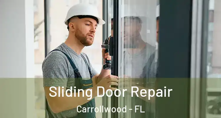  Sliding Door Repair Carrollwood - FL