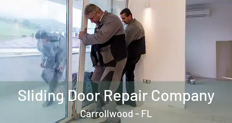 Sliding Door Repair Company Carrollwood - FL