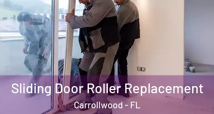  Sliding Door Roller Replacement Carrollwood - FL