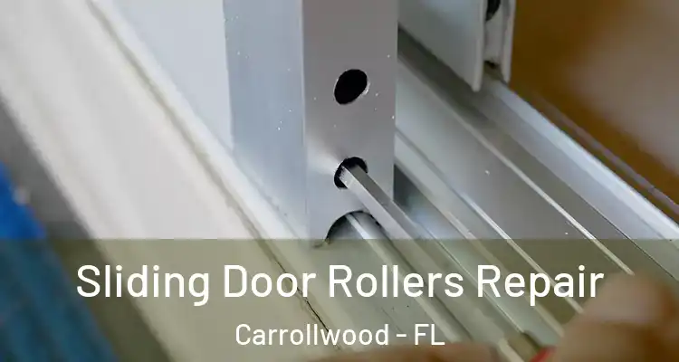  Sliding Door Rollers Repair Carrollwood - FL
