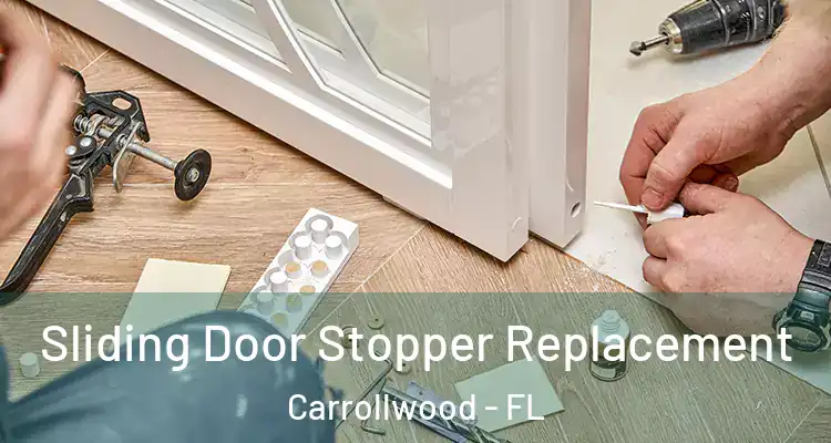  Sliding Door Stopper Replacement Carrollwood - FL