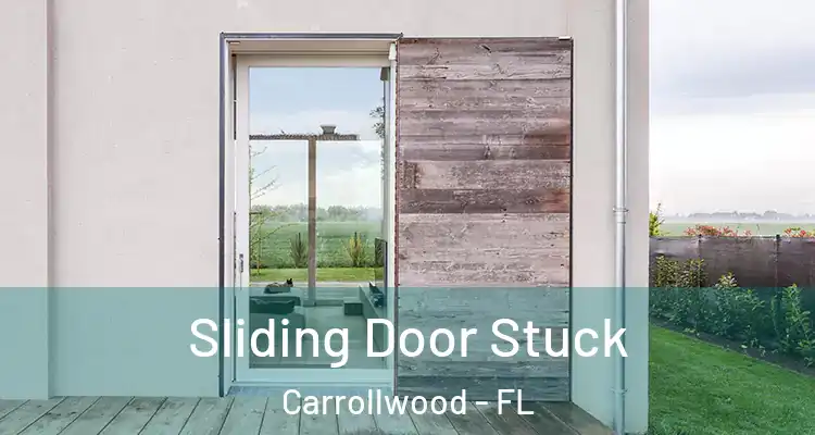  Sliding Door Stuck Carrollwood - FL