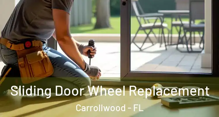  Sliding Door Wheel Replacement Carrollwood - FL