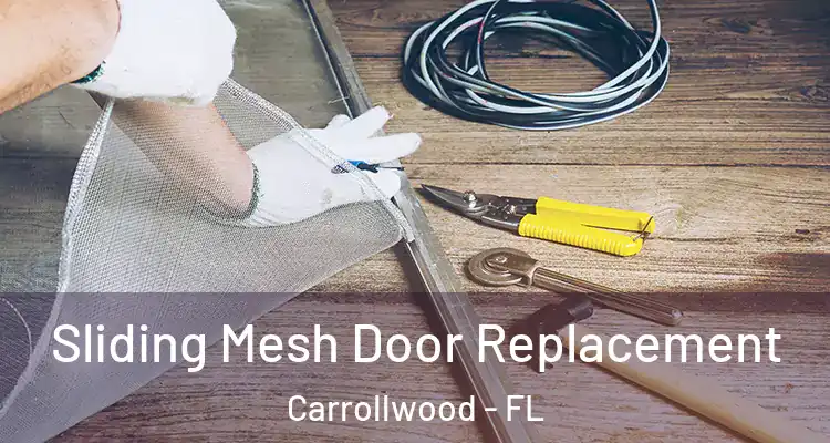  Sliding Mesh Door Replacement Carrollwood - FL