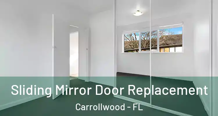  Sliding Mirror Door Replacement Carrollwood - FL