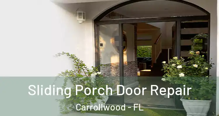  Sliding Porch Door Repair Carrollwood - FL