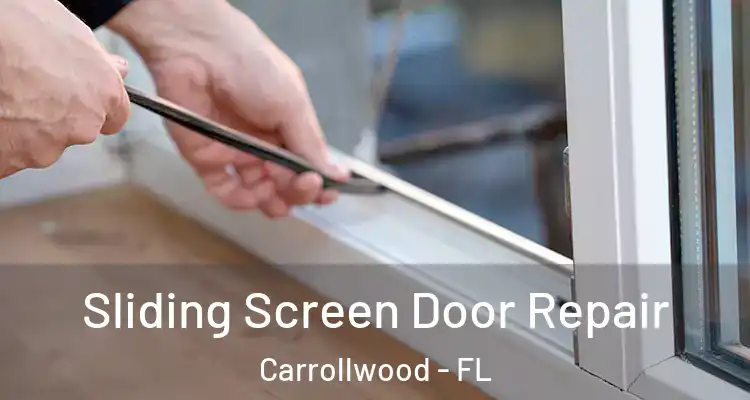  Sliding Screen Door Repair Carrollwood - FL