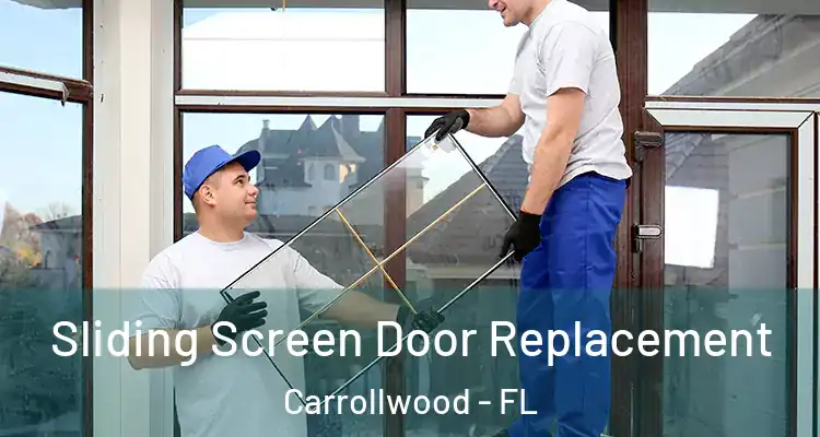  Sliding Screen Door Replacement Carrollwood - FL