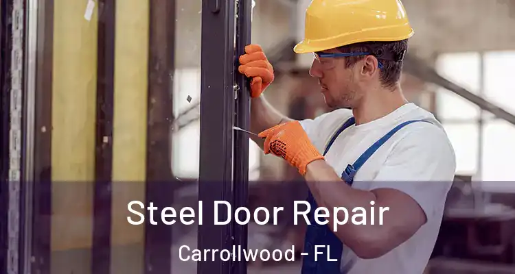  Steel Door Repair Carrollwood - FL