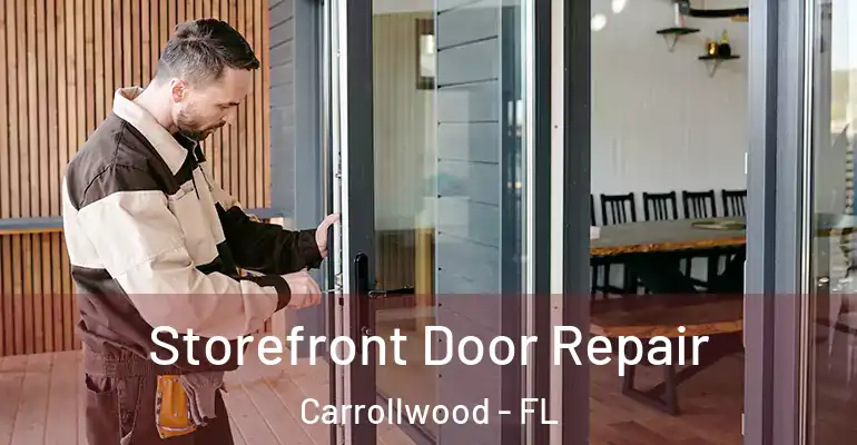  Storefront Door Repair Carrollwood - FL