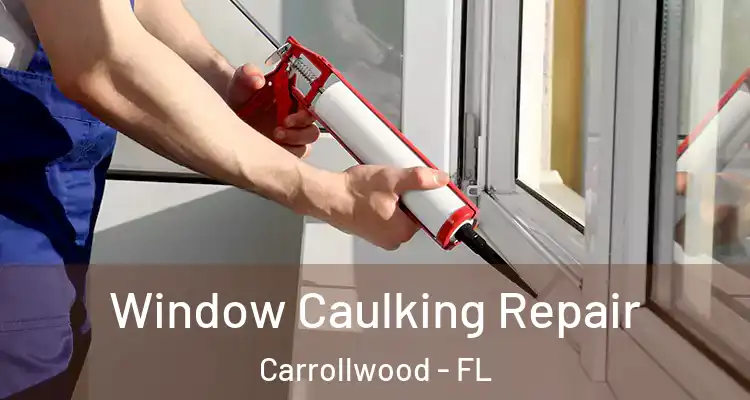  Window Caulking Repair Carrollwood - FL