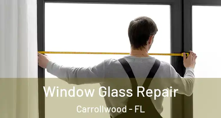  Window Glass Repair Carrollwood - FL